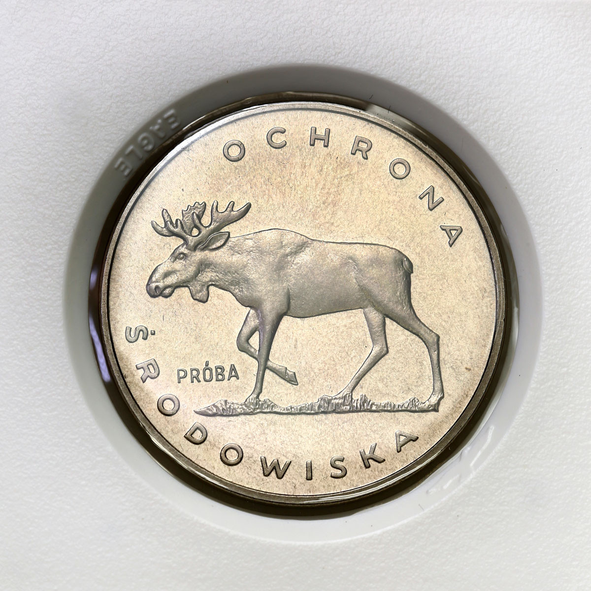 PRL. PRÓBA Nikiel 100 złotych 1978 – Łoś